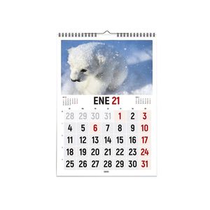 CALENDARIO 2021 VERTICAL FOTOS ANIMALES 30X43 CASTELLANO INGRAF