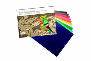 BLOC PAPEL CHARO 10 COLORES SADIPAL