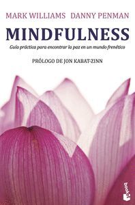 MINDFULNESS GUIA PRACTICA
