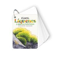 FIJATE: LIQUENES Y PLANTAS INFERIORES