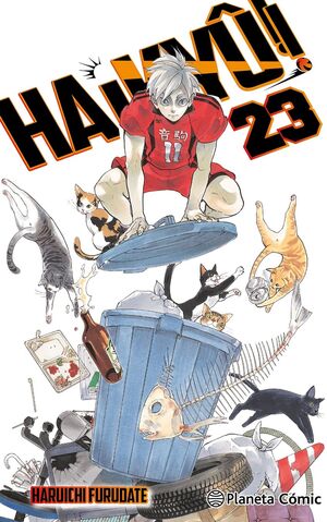 HAIKYU Nº 23