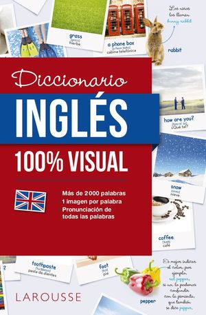 DICCIONARIO DE INGLES 100% VISUAL