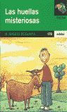 LAS HUELLAS MISTERIOSAS
