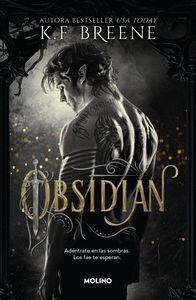 LOS FAE DE LAS SOMBRAS 1. OBSIDIAN