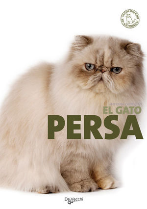 EL GATO PERSA