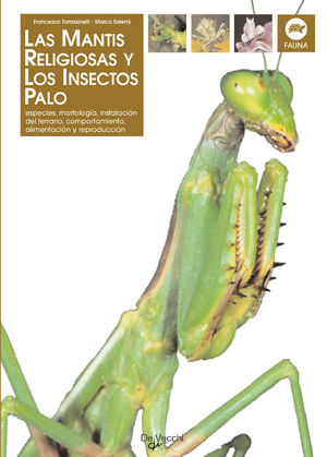 MANTIS RELIGIOSA