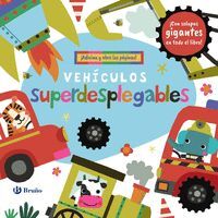 VEHICULOS