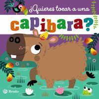 QUIERES TOCAR A UNA CAPIBARA