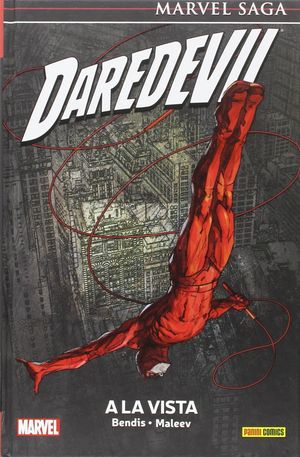 DAREDEVIL 6. A LA VISTA
