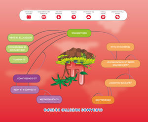 4AÑOS. EMERGENCIAS 112 NIVEL 2 EXPLORA SM