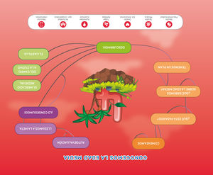 4AÑOS. MERCADO MEDIEVAL NIVEL 2 EXPLORA SM