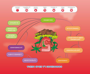 5AÑOS. MERCADO MEDIEVAL NIVEL 3 EXPLORA 2018 SM