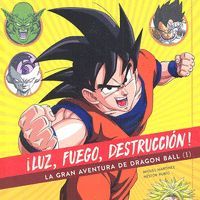 LUZ FUEGO DESTRUCCION LA GRAN AVENTURA DE DRAGON B
