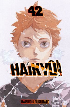 HAIKYU Nº 42/45